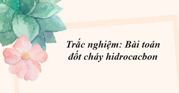 Trắc nghiệm: Bài toán đốt cháy hidrocacbon