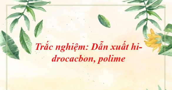 Trắc nghiệm: Dẫn xuất hidrocacbon, polime