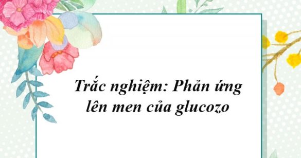 Trắc nghiệm: Phản ứng lên men của glucozo