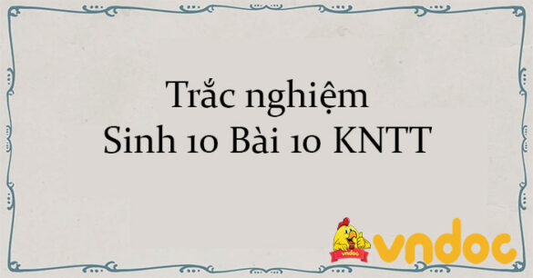 Trắc nghiệm Sinh 10 Bài 10 KNTT