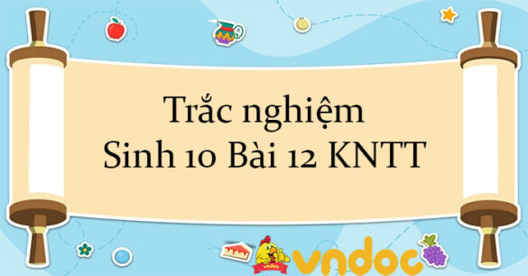 Trắc nghiệm Sinh 10 Bài 12 KNTT