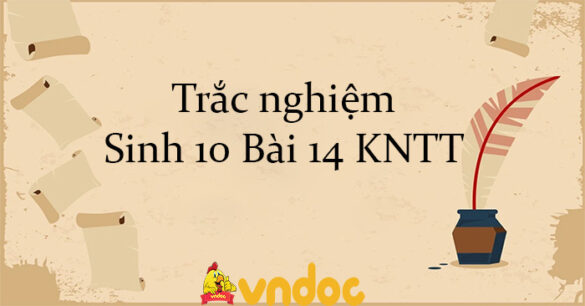 Trắc nghiệm Sinh 10 Bài 14 KNTT