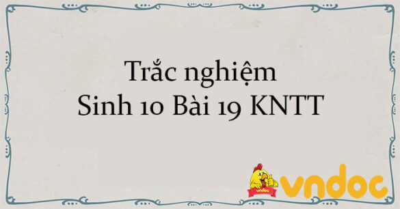 Trắc nghiệm Sinh 10 Bài 19 KNTT