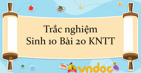 Trắc nghiệm Sinh 10 Bài 20 KNTT