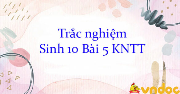 Trắc nghiệm Sinh 10 Bài 5 KNTT