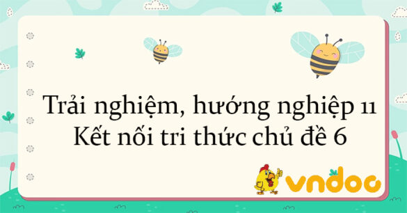 Trải nghiệm, hướng nghiệp 11 Kết nối tri thức chủ đề 6