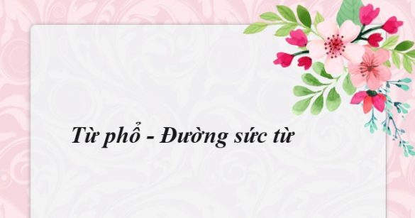 Từ phổ - Đường sức từ