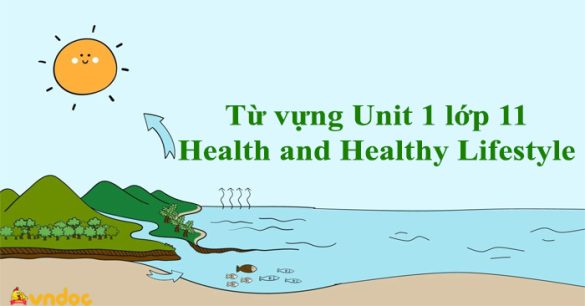 Từ vựng Unit 1 lớp 11 Health and Healthy Lifestyle