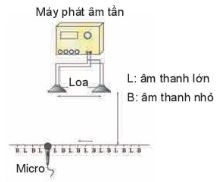 Vật lý 11 Kết nối tri thức bài 12