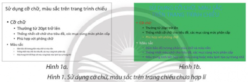 Hãy trao đổi với bạn để chỉ ra những điểm chưa hợp lí về sử dụng cỡ chữ, màu sắc trên trang chiếu ở hình 1a và Hình 1b.