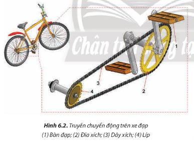 Quan sát Hình 6.2, mô tả quá trình truyền chuyển động đạp xe của con người đến các bộ phận giúp xe chạy được.