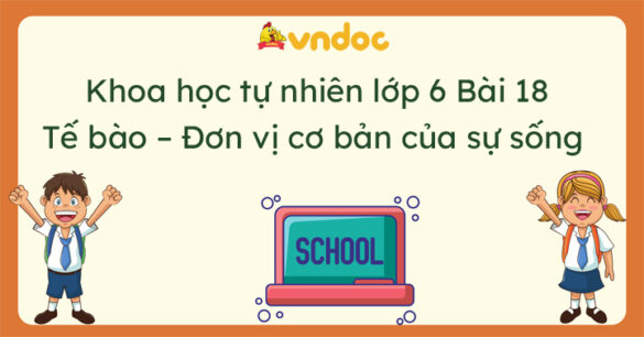 Khoa học tự nhiên 6 Bài 18 Tế bào - Đơn vị cơ bản của sự sống