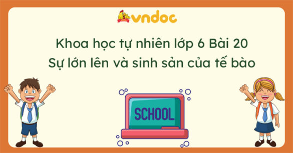 Khoa học tự nhiên 6 Bài 20 Sự lớn lên và sinh sản của tế bào