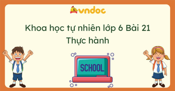 Khoa học tự nhiên 6 Bài 21 Thực hành Quan sát và phân biệt một số loại tế bào