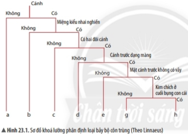 Giải KHTN lớp 6 Bài 23 Thực hành xây dựng khóa lưỡng phân