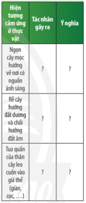 Khoa học tự nhiên 7 Bài 32: Cảm ứng ở sinh vật