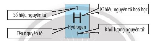 Giải SBT Khoa học tự nhiên 7 Bài 4: Sơ lược về bảng tuần hoàn các nguyên tố hóa học CTST