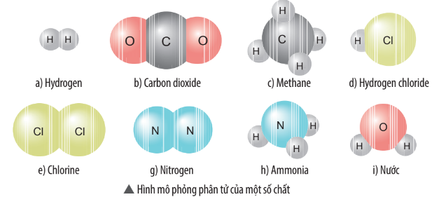 Bài 4 trang 36 Khoa học tự nhiên 7 CTST