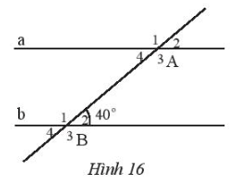 Cho Hình 16 Bài 4 trang 80 Toán lớp 7 Tập 1