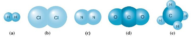 Giải SBT Khoa học tự nhiên 7 Bài 5: Phân tử - đơn chất - hợp chất CTST