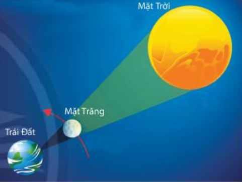 Bài 5 trang 82 Toán 6 tập 2 SGK Chân trời sáng tạo