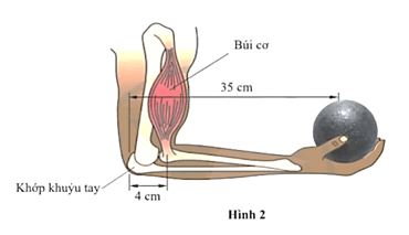 Bài tập chủ đề 2