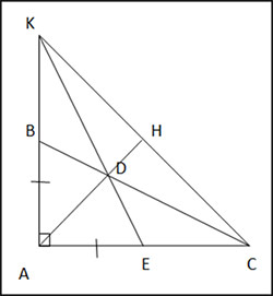 Bài 7