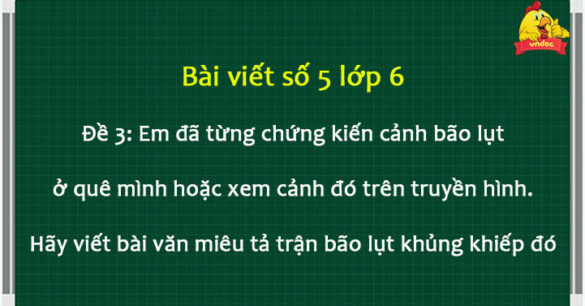 Kể lại cảnh bão lụt ở quê em hoặc em được xem trên truyền hình