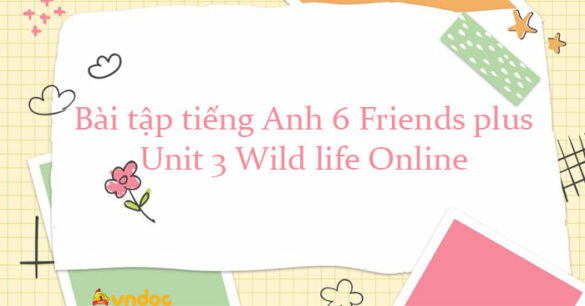 Bài tập tiếng Anh 6 Friends plus Unit 3 Online