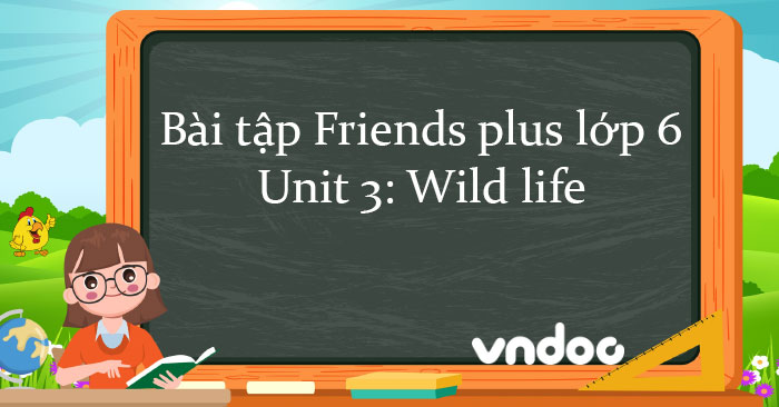 Bài tập unit 3 lớp 6 Wild life