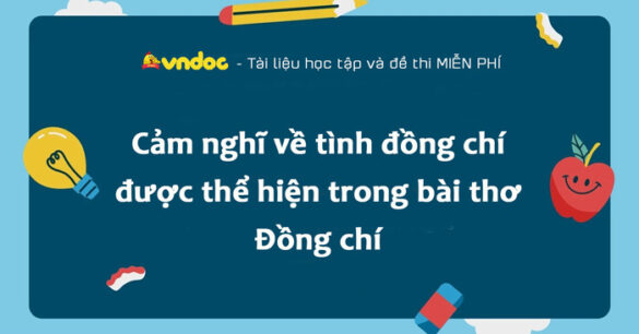 Cảm nghĩ về tình đồng chí được thể hiện trong bài thơ Đồng chí lớp 8