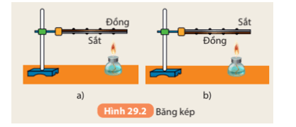 Khoa học tự nhiên 8