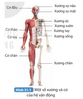 Khoa học tự nhiên 8