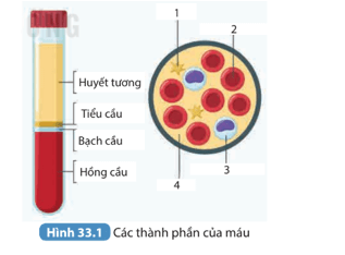 Khoa học tự nhiên 8