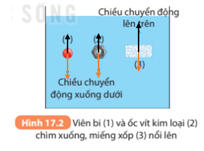 Khoa học tự nhiên 8