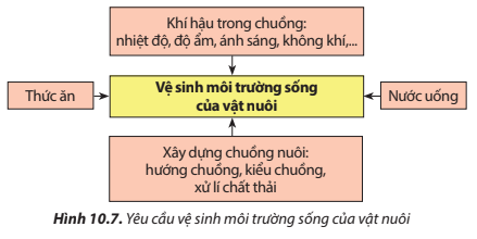 Hãy quan sát Hình 10.7 và nêu những yếu tố ảnh hưởng đến vệ sinh môi trường sống của vật nuôi