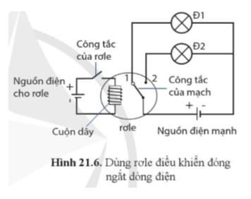 Khoa học tự nhiên 8