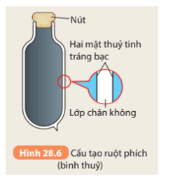 Khoa học tự nhiên 8