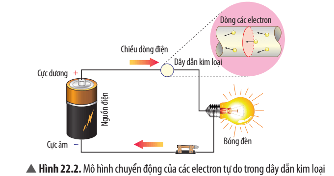 Khoa học tự nhiên 8 Chân trời sáng tạo bài 22 trang 103, 104, 105