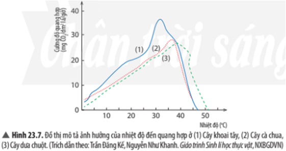 Khoa học tự nhiên 7 Bài 23: Quang hợp ở thực vật Chân trời sáng tạo