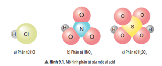 Khoa học tự nhiên 8 Chân trời sáng tạo bài 9 trang 46, 47, 48, 49