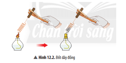 Khoa học tự nhiên 8 Chân trời sáng tạo bài 12 trang 56, 57, 58, 59, 60