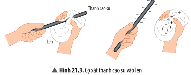 Khoa học tự nhiên 8 Chân trời sáng tạo bài 21 trang 99, 100, 101, 102