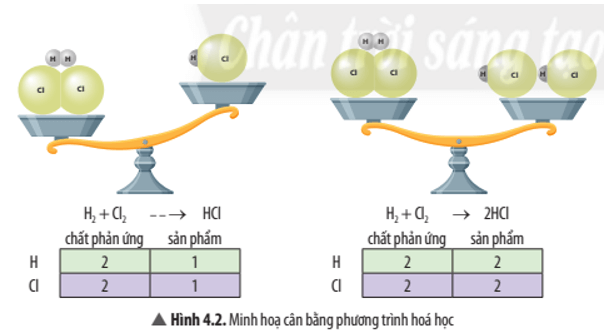 Khoa học tự nhiên 8