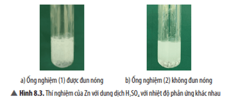 Khoa học tự nhiên 8