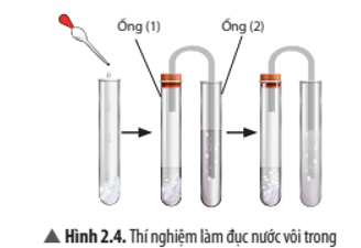 Khoa học tự nhiên 8