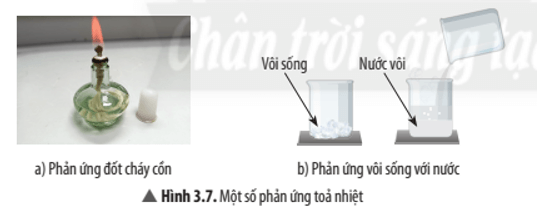 Khoa học tự nhiên 8