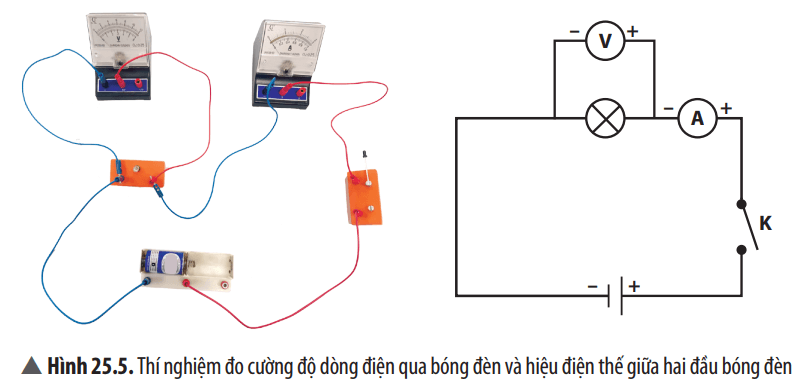 Khoa học tự nhiên 8 Chân trời sáng tạo bài 25 trang 114, 115, 116, 117, 118