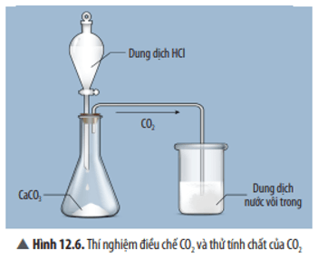 Khoa học tự nhiên 8 Chân trời sáng tạo bài 12 trang 56, 57, 58, 59, 60