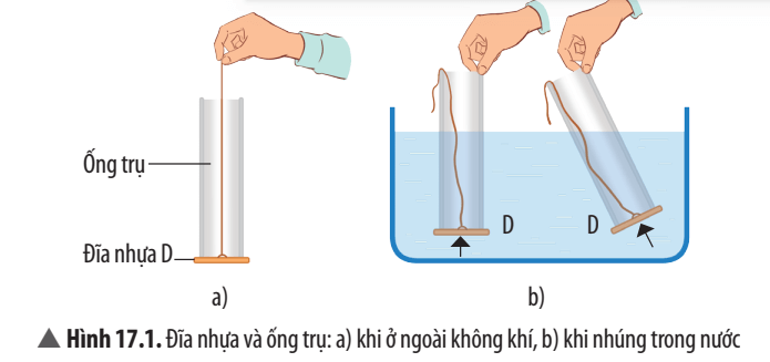 Khoa học tự nhiên 8 Chân trời sáng tạo bài 17 trang 84, 85, 86, 87, 88